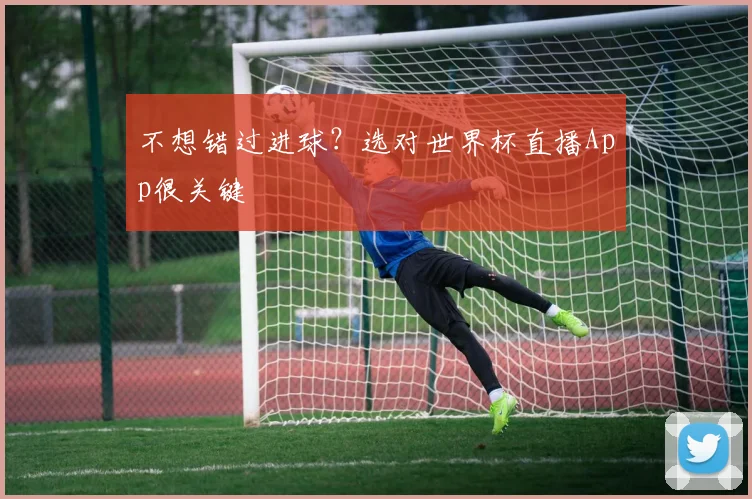 不想错过进球？选对世界杯直播App很关键