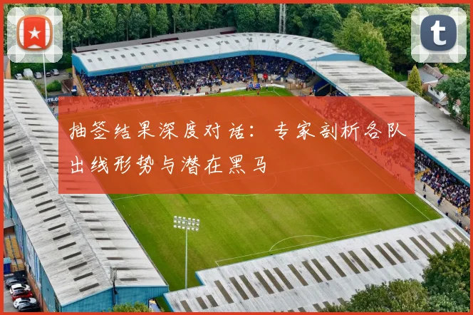 抽签结果深度对话：专家剖析各队出线形势与潜在黑马